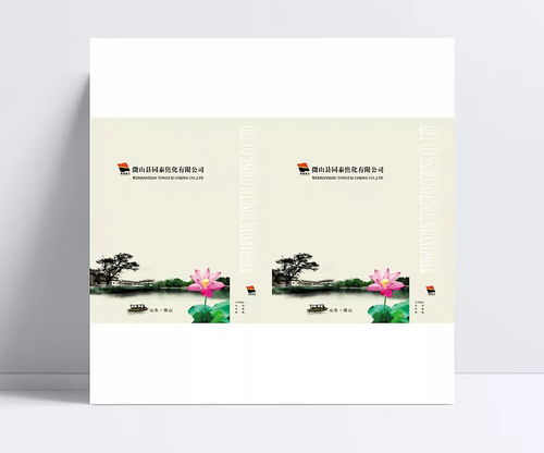 中國傳統水墨風格手提袋包裝設計